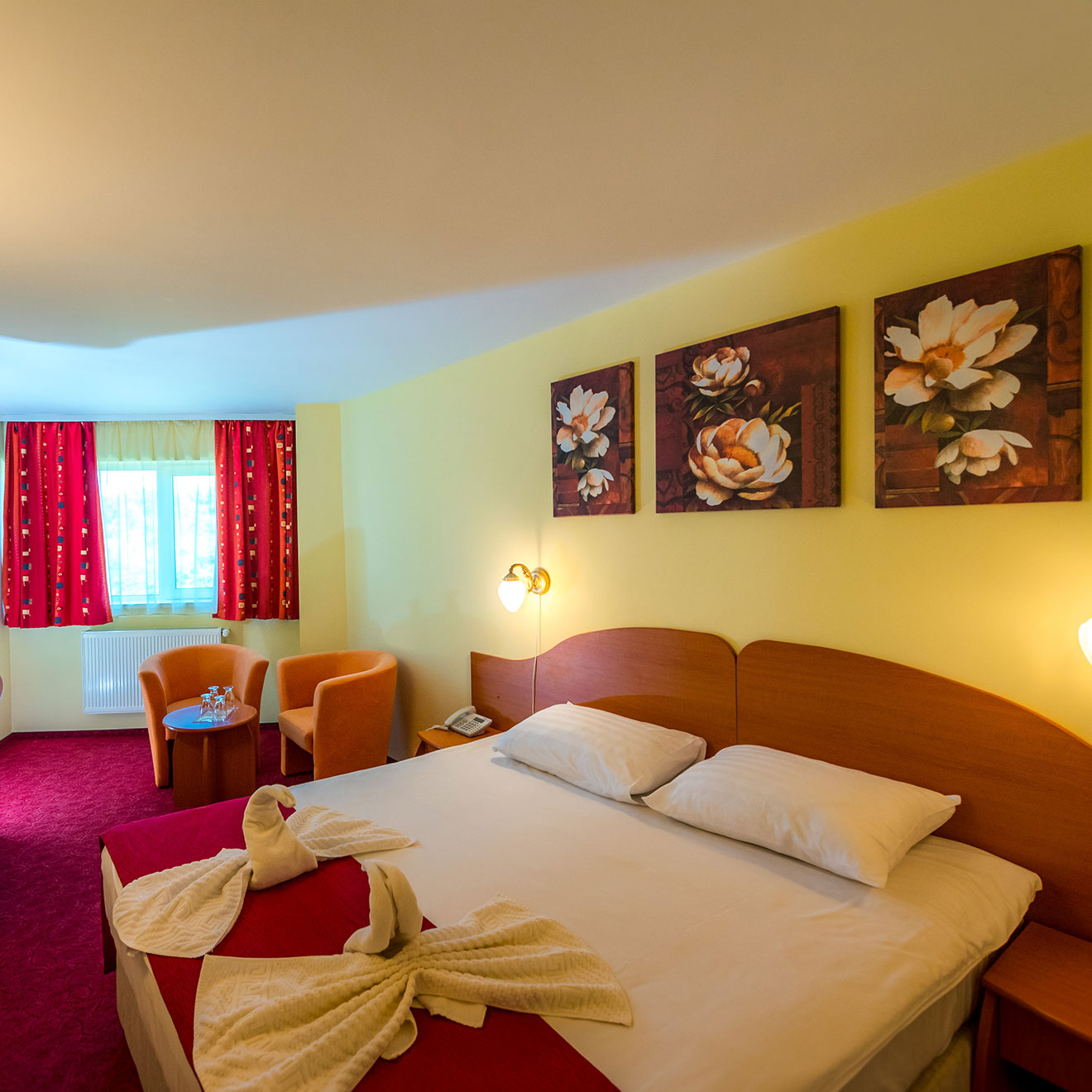 Get tangled Almighty Duplicate Hotel Parc*** | Cazare | Tratamente Stațiunea Buziaș
